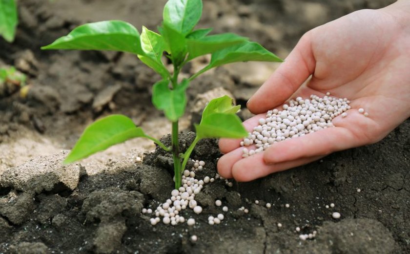Comissão debate potencial do gás natural e produção de fertilizantes nitrogenados