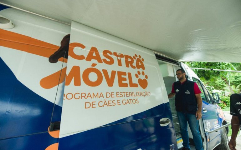 Castramóvel da Prefeitura de Maceió realiza castrações de animais de protetores independentes
