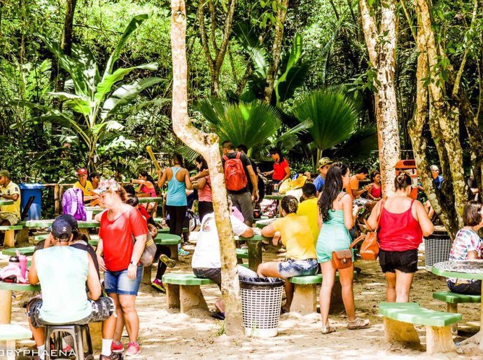 Projeto Trilha Sonora atrai visitantes ao Parque Municipal