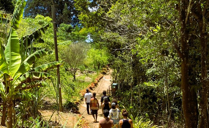 Evento gratuito reúne artistas alagoanos em experiências sensoriais que conectam arte contemporânea, corpo e consciência ambiental