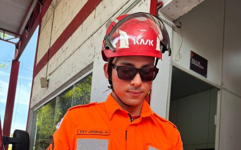 Bombeiros de Minas Gerais resgatam filhote de porco-espinho albino