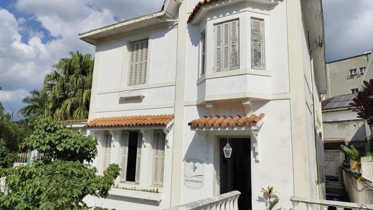 Museu do Gato é inaugurado em Petrópolis (RJ)
