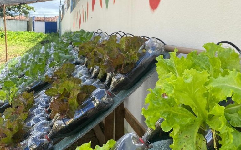 Tecnologia e inclusão: Sedics inaugura hortas hidropônicas automatizadas em escolas públicas