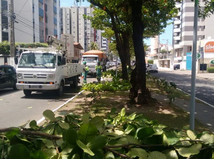 Sempma conclui poda em canteiro na Av. Sandoval Arroxelas