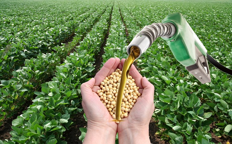 Governo prepara anúncio de mais biodiesel na mistura ao óleo diesel