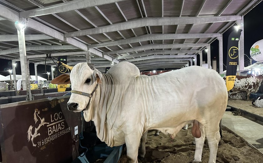 Com apoio do Governo de Alagoas, 74ª Expoagro registra o maior público de todas os edições