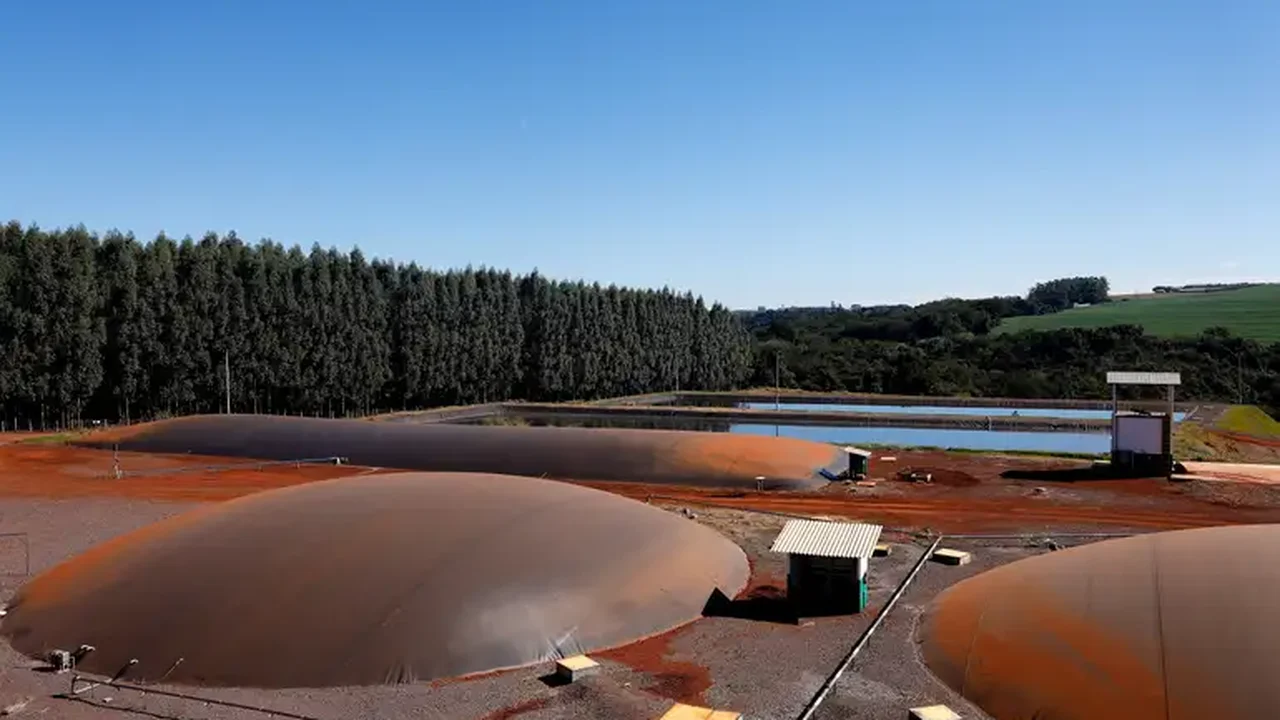 Bioenergia Brasil e Unica dizem confiar em estratégia do governo no caso das tarifas dos EUA