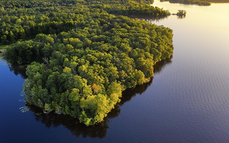 Amazônia depende mais do governo