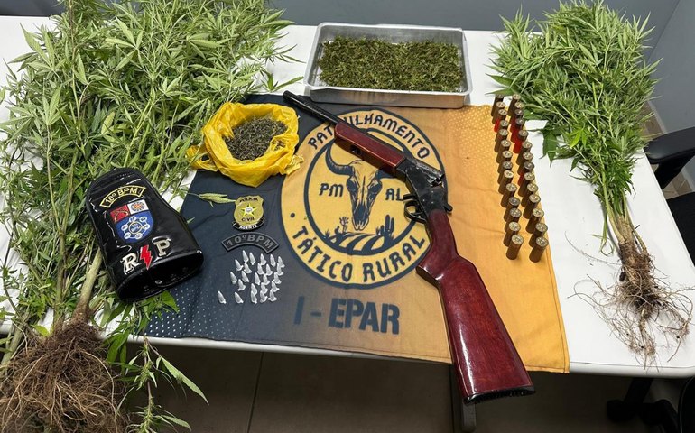 Polícia prende homem com plantação de maconha e arma de fogo em Palmeira dos Índios