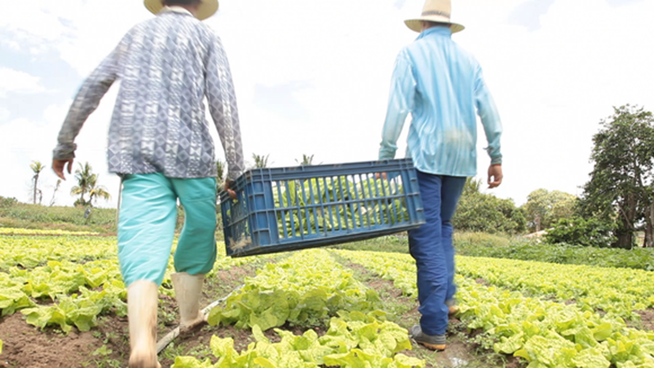Reunião aprofunda conhecimento sobre Arranjos Produtivos Locais