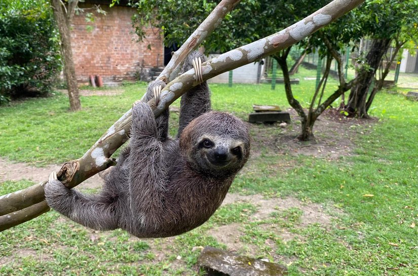 Do resgate à liberdade: o balanço do trabalho do Cetas em 2025