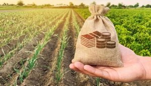 Faese renegocia dívidas de operações de crédito rural em Sergipe; veja condições / Foto: Foto: Faese/SE