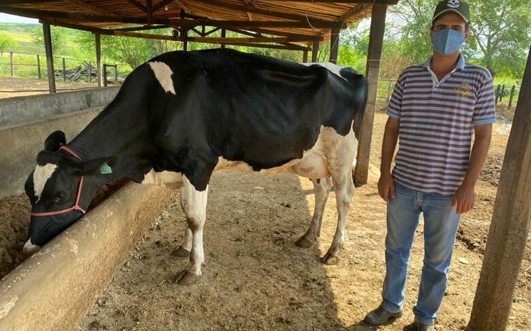 Agricultores se preparam para disputar Super Torneio Leiteiro