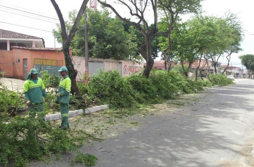 Sempma poda árvores nas partes alta e baixa de Maceió