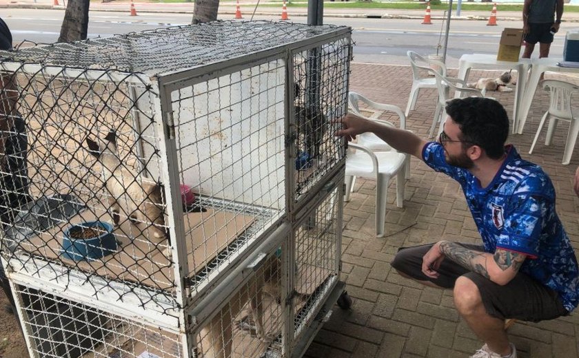 Gabinete da Causa Animal e Zoonoses levam cães e gatos para Feira de Adoção no domingo (15)