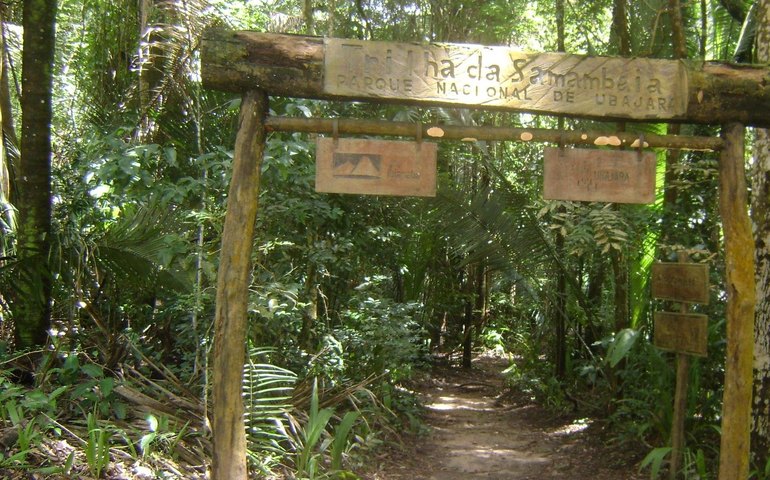 Governo vai lançar editais para estudos sobre concessões de parques nacionais