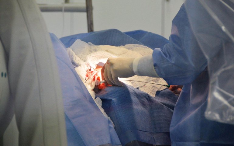 Alagoas realiza mais um transplante de fígado e receptor apresenta boa recuperação