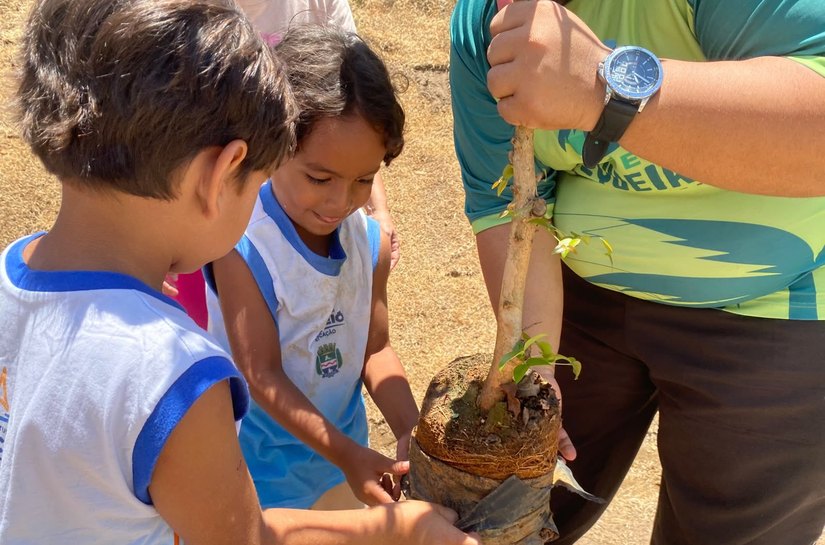 Projeto Arborizar é Massa realiza atividades sustentáveis e plantio de árvores com crianças do Flexal
