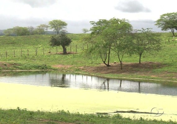 Chuvas deste ano não devem acabar com a seca em Alagoas, diz secretaria