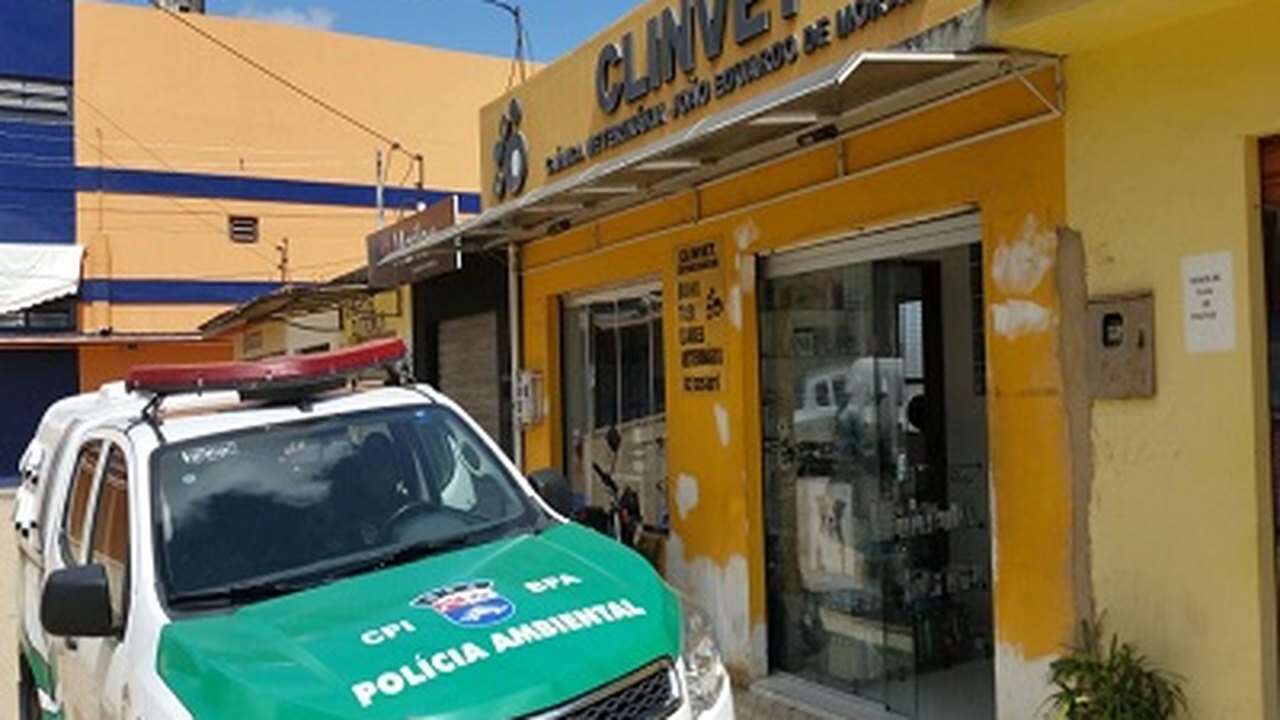 BPA autua clínicas veterinárias no Eustáquio Gomes por exercício ilegal da profissão