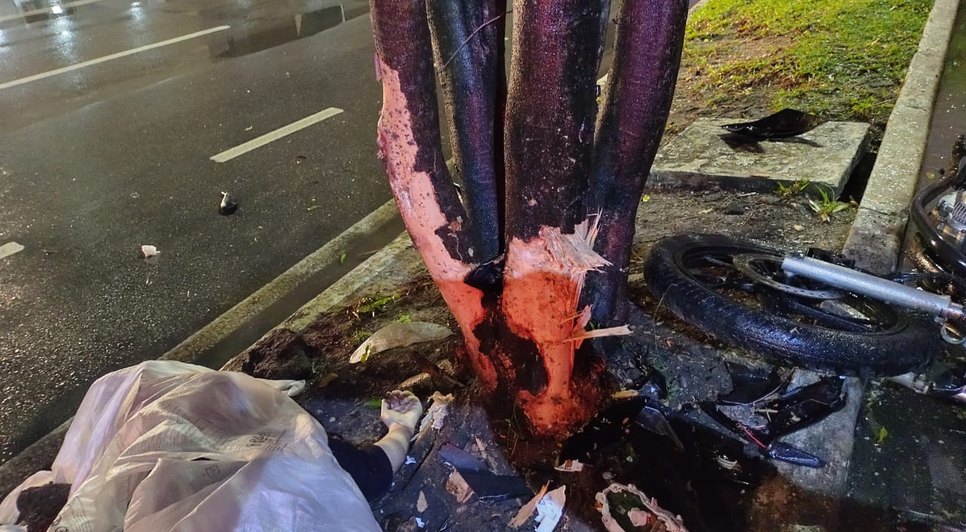 Motociclista morre após bater em árvore na Zona Sul de Aracaju / Foto: Foto: CPTran/SE