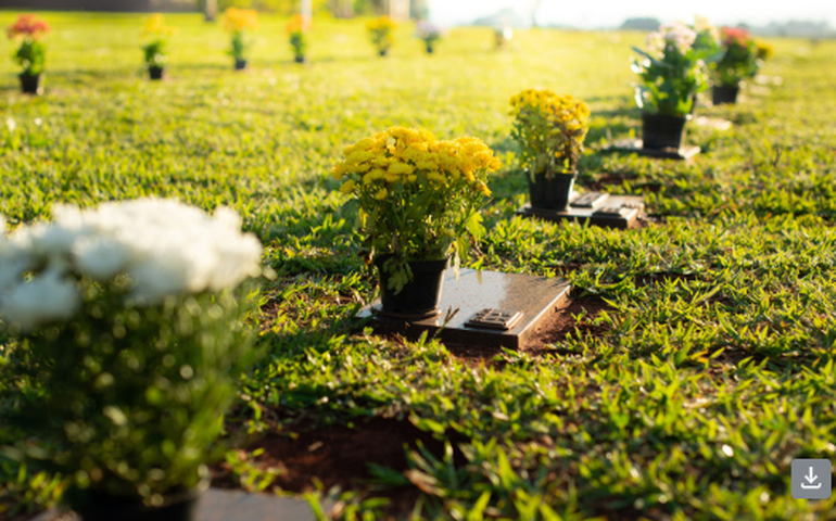 Dia do Luto (19/6) reforça a importância de iniciativas de acolhimento às famílias
