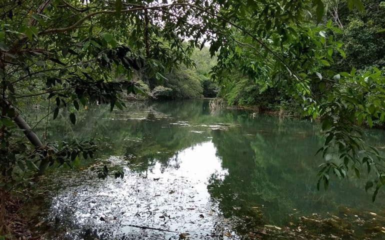 Alagoas é o 8º estado com mais RPPNs no Brasil e celebra Dia Nacional das Reservas