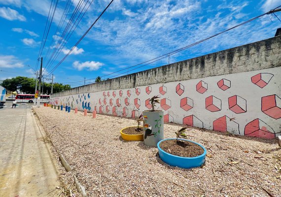 Autarquia de Limpeza Urbana revitaliza antigo ponto de lixo no Santo Amaro