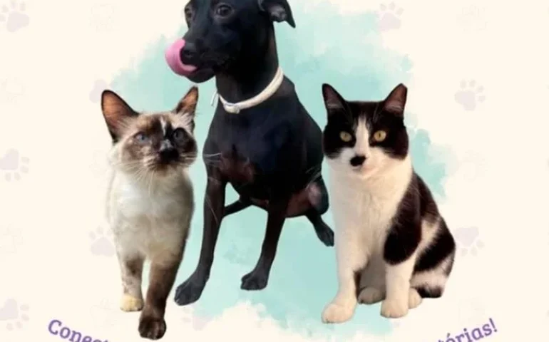 Viva Pet promove feira de adoção, rodas de conversa e minicurso na Usina Ciência