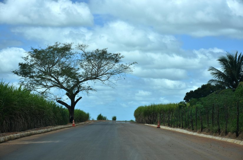 Programa Alagoas de Ponta a Ponta segue em Junqueiro com pavimentação asfáltica