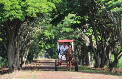 O turismo rural e as oportunidades para desenvolvimento dos Municípios pós-pandemia 