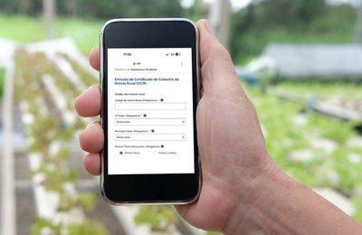 Consulta e emissão do CCIR 2024 já estão disponíveis