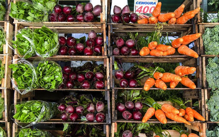 FAO: custo de importação de alimentos deve bater recorde de US$ 1,75 tri em 2021