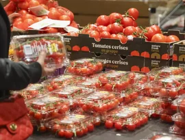 Trump reduz tarifas sobre carne bovina, tomates, bananas e café