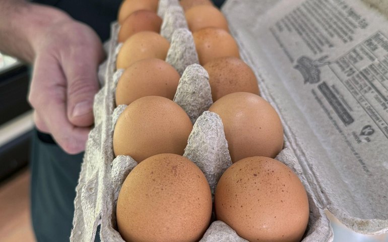 Da importação 'ilegal' de ovos a sufoco da soja dos EUA: tarifaço está saindo pela culatra?