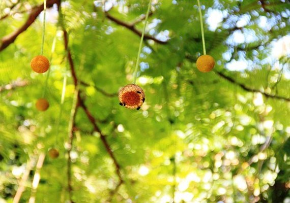 IMA fará exposição de quadros e orquídeas que marca mês do meio ambiente