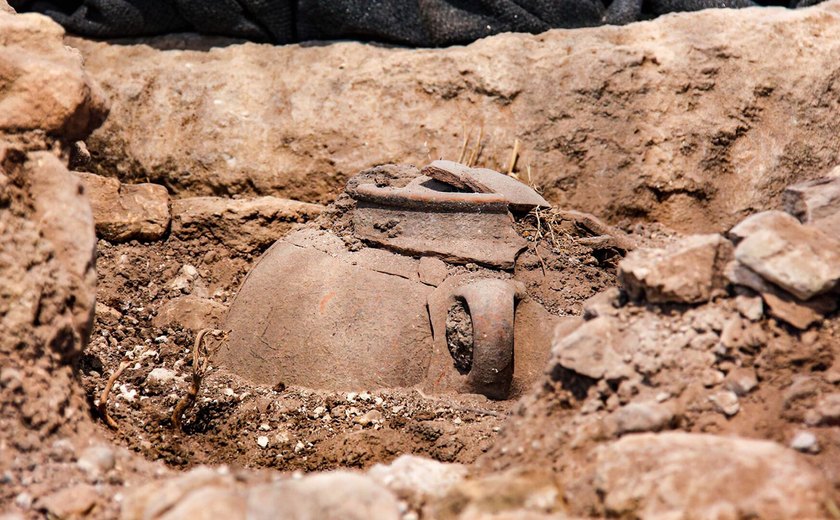 Cientistas descobrem na China vestígios de cerveja de arroz de 10 mil anos (FOTO)