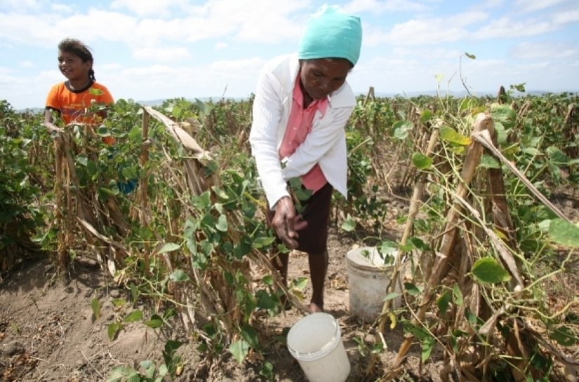 Governo beneficiará produtores de cana-de-açúcar com fertilizantes
