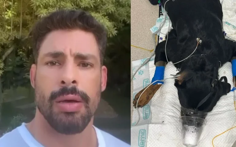 Cauã Reymond diz que seus cachorros foram envenenados: 'maldade sem tamanho'; veja vídeo