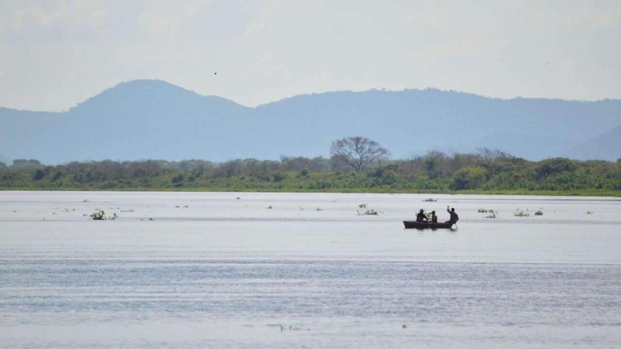 Rio Paraguai registra recuperação tímida após bater menor nível da história em 2024 (FOTOS, VÍDEOS)