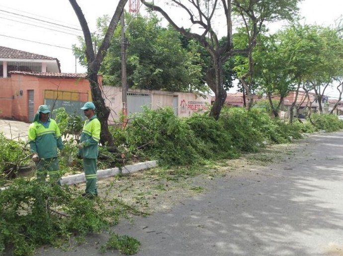 Sempma poda árvores nas partes alta e baixa de Maceió