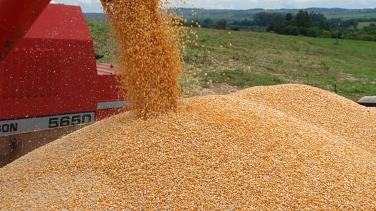 Alagoas aumenta a produção de grãos e prevê safra recorde
