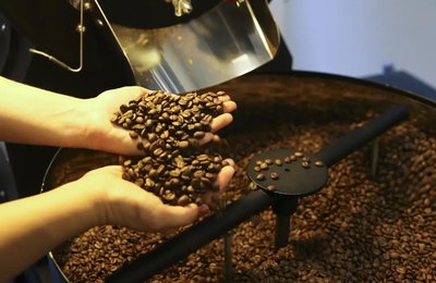 Setor cafeeiro pode ser forçado a redirecionar produção, diz Cepea/USP