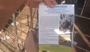Moradores denunciam maus-tratos contra gatos na Zona Sul de Aracaju