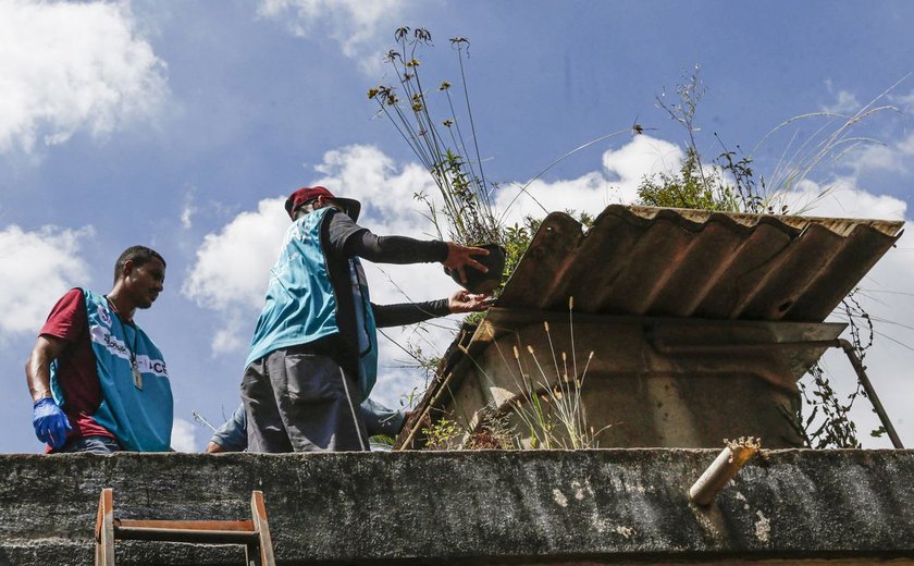 Saúde reforça monitoramento e ações de controle da dengue em 4 estados