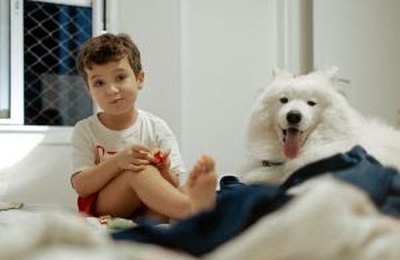 Entre viagens e brincadeiras: o que muda para os pets durante as férias escolares