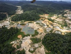 Objetivo da Polícia Federal é retirar todos os garimpeiros da terra Yanomami 