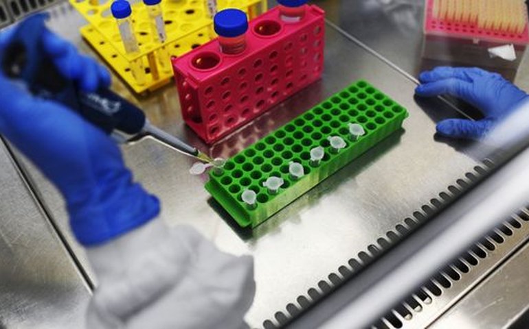 China pede para derrotar o coronavírus antes de investigar sua origem