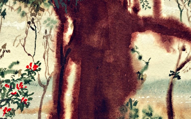 Fernando Salem lança &#8220;Trilhas do Amor&#8221;