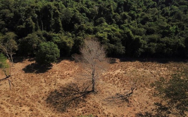 Combate ao desmatamento é prioridade para mitigar mudanças climáticas